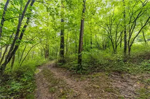 17881 Horseshoe Bend Rd E, Newcomerstown, OH 43832 - Photo 23