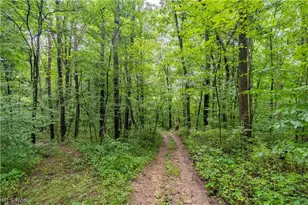 17881 Horseshoe Bend Rd E, Newcomerstown, OH 43832 - Photo 19