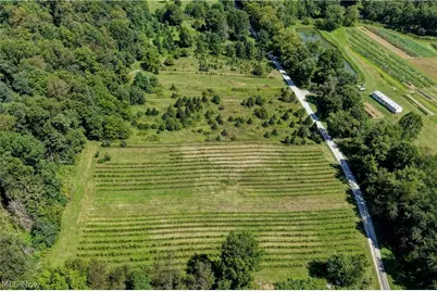 33111 Township Road 490, Killbuck, OH 44637 - Photo 43