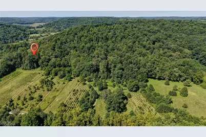 33111 Township Road 490, Killbuck, OH 44637 - Photo 5