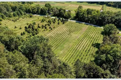 33111 Township Road 490, Killbuck, OH 44637 - Photo 7