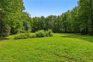 11335 Woodie Glen Dr, Chardon, OH 44024 - Photo 39