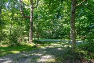 12496 Udall R Rd, Hiram, OH 44234 - Photo 41