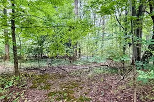 1751 East Turkeyfoot Lake Road, Akron, OH 44312 - Photo 21