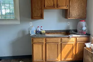 11825 Forest Ave, Loveland, OH 44120 - Photo 13