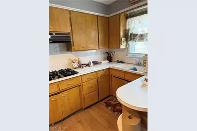 16727 Grovewood Avenue, Loveland, OH 44110 - Photo 17