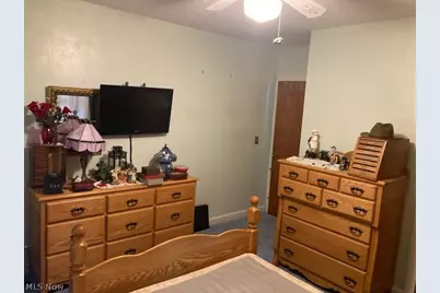 209 Grandview Street, Scio, OH 43988 - Photo 31