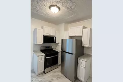 5007 Clark Avenue, Loveland, OH 44102 - Photo 13