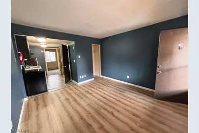 519 Crosby Street, Akron, OH 44302 - Photo 11