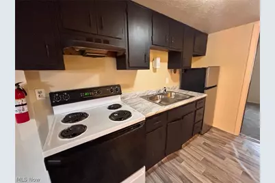 519 Crosby Street, Akron, OH 44302 - Photo 9