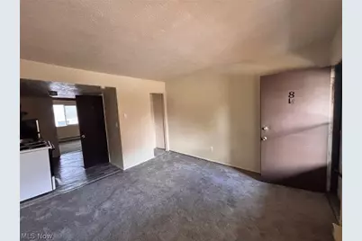519 Crosby Street, Akron, OH 44302 - Photo 25