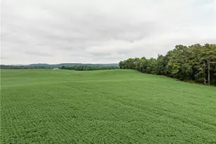 2428 Applegate Rd, Lucas, OH 44843 - Photo 31