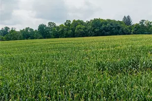 172 W County Line Rd, Greene Township, PA 16134 - Photo 27
