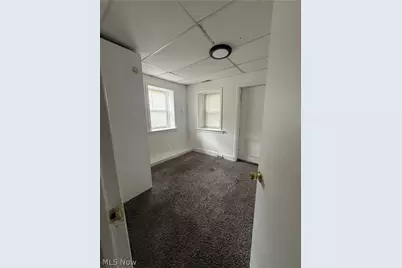 976 E 70th Street, Loveland, OH 44103 - Photo 45