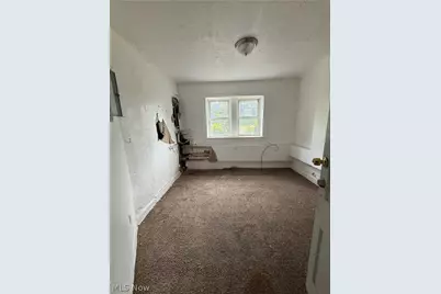 976 E 70th Street, Loveland, OH 44103 - Photo 39