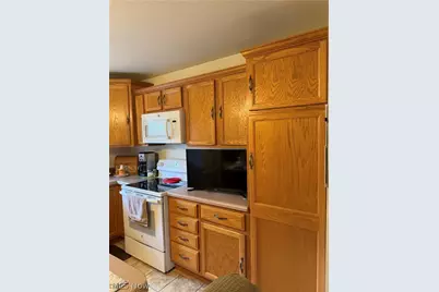 60 Woods Boulevard, Leetonia, OH 44431 - Photo 5