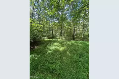 5453 Union Hill Road, Kimbolton, OH 43749 - Photo 11