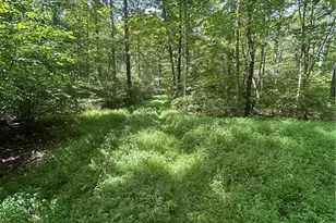 5453 Union Hill Rd, Kimbolton, OH 43749 - Photo 11