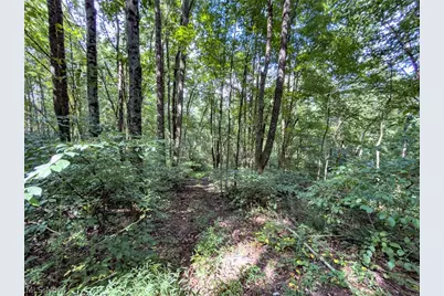 43532 Township Road 55, Coshocton, OH 43812 - Photo 35