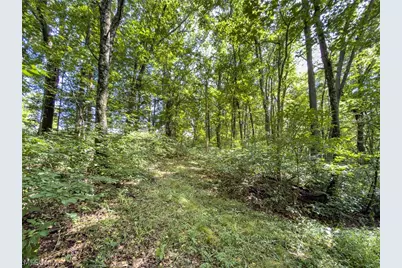 43532 Township Road 55, Coshocton, OH 43812 - Photo 39