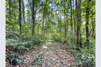 43532 Township Road 55, Coshocton, OH 43812 - Photo 37