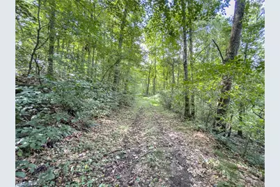 43532 Township Road 55, Coshocton, OH 43812 - Photo 29