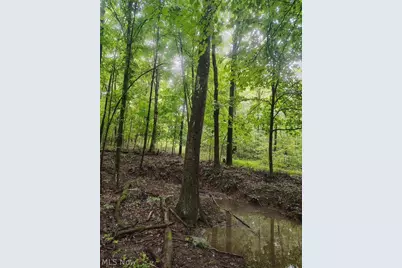 16786 Roses Run Road, Salineville, OH 43945 - Photo 5