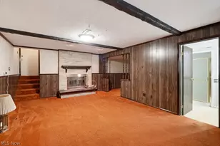 10007 Patton St, Twinsburg, OH 44087 - Photo 21