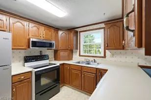 10007 Patton St, Twinsburg, OH 44087 - Photo 11
