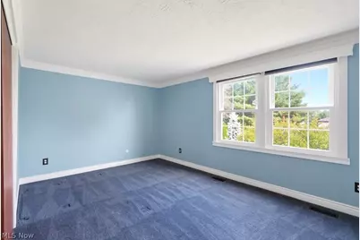 10007 Patton Street, Twinsburg, OH 44087 - Photo 15