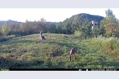 County Road 181, Ironton, OH 45638 - Photo 33