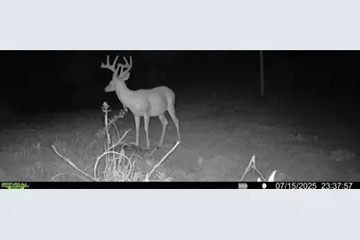County Road 181, Ironton, OH 45638 - Photo 9