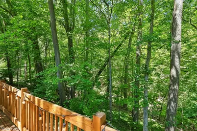1593 Kingsley Avenue, Akron, OH 44313 - Photo 33