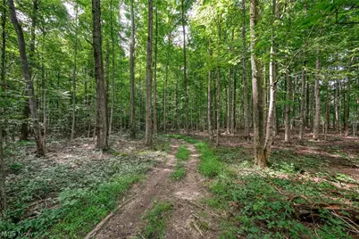7270 Tallmadge Road, Rootstown, OH 44272 - Photo 43