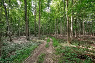 7270 Tallmadge Rd, Rootstown, OH 44272 - Photo 43
