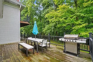 1295 Connecticut Woods Dr, Hudson, OH 44236 - Photo 43
