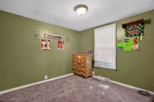 1411 Easton Ave, Madison, OH 44057 - Photo 29