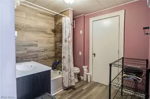 422 Reed Ave, Akron, OH 44301 - Photo 15