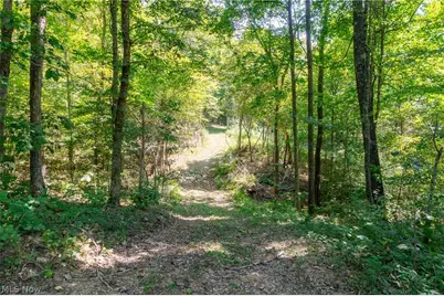 0 County Rd 269, Glouster, OH 43730 - Photo 19