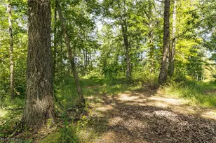 2115 Goss Frk Rd, Whipple, OH 45788 - Photo 21