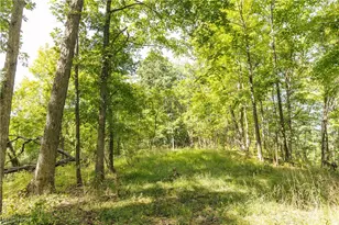 2115 Goss Frk Rd, Whipple, OH 45788 - Photo 15