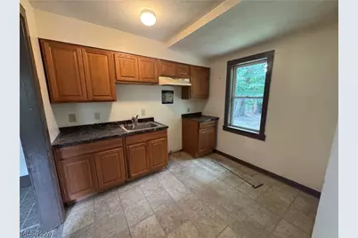 1338 W 91st Street, Loveland, OH 44102 - Photo 15