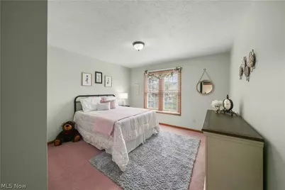 159 Kingston Drive, Aurora, OH 44202 - Photo 25