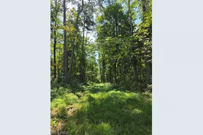 Brimstone Road, Coolville, OH 45732 - Photo 13