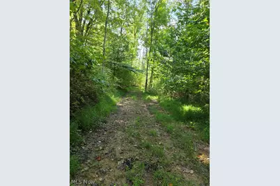 Brimstone Road, Coolville, OH 45732 - Photo 15
