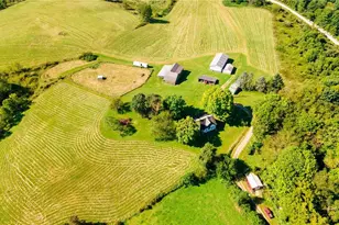 87123 Dodson Rd, Scio, OH 43988 - Photo 13
