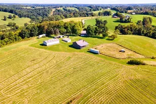 87123 Dodson Rd, Scio, OH 43988 - Photo 5