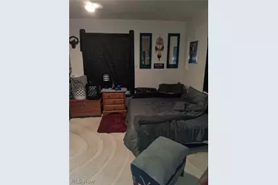250 Harrison Street, Elyria, OH 44035 - Photo 11