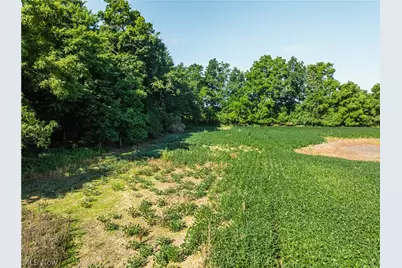 Sycamore Road, Centerburg, OH 43011 - Photo 29