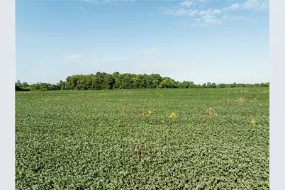 Sycamore Road, Centerburg, OH 43011 - Photo 1